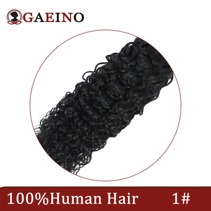 Water Wave Tape in Human Hair Extension Brazilian Hair Skin Weft Tape in Curly Human Hair 20 pcs/set Black Brown Blonde Color