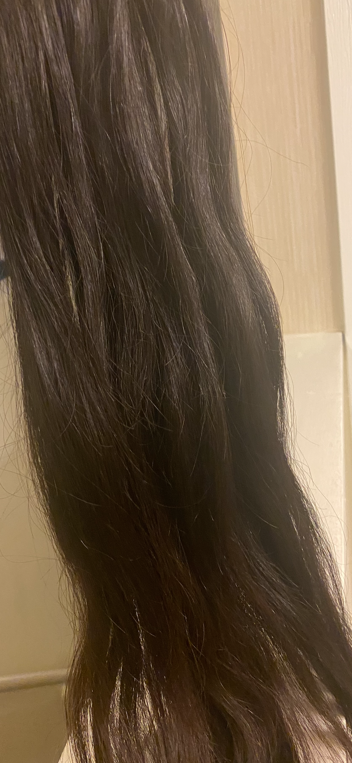 T1 Raw Hair Bundles